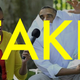 Illustration for article titled This Photo of President Obama in His Shirt Is Totally Fake